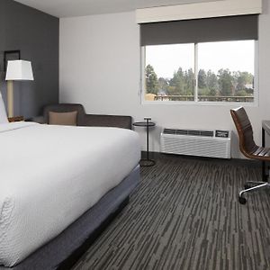Zimmer mit Kingsize-Bett